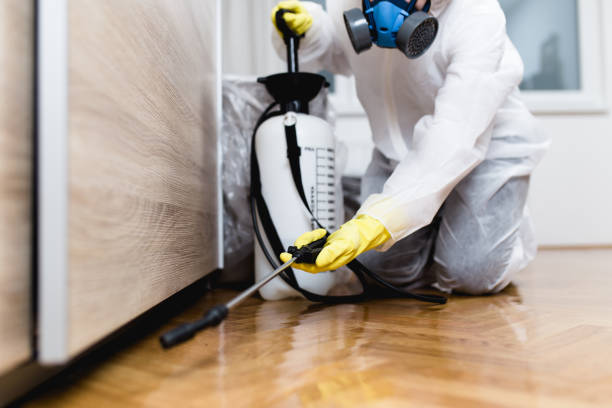 Best Rat Extermination Near Me  in Pierre Part, LA