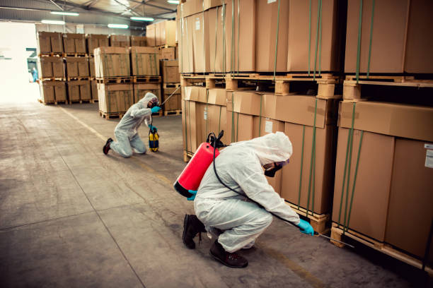 Wildlife Control Services in Pierre Part, LA