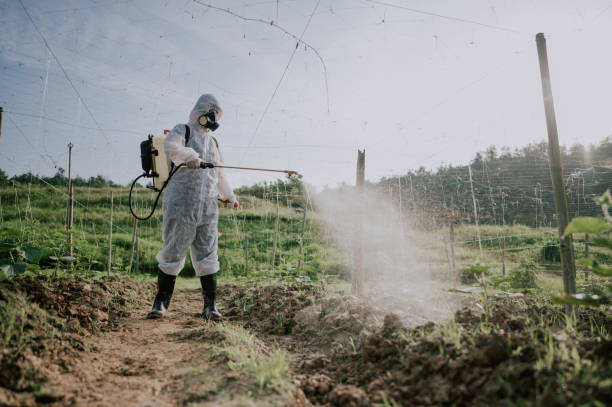 Best Ant Control Services  in Pierre Part, LA