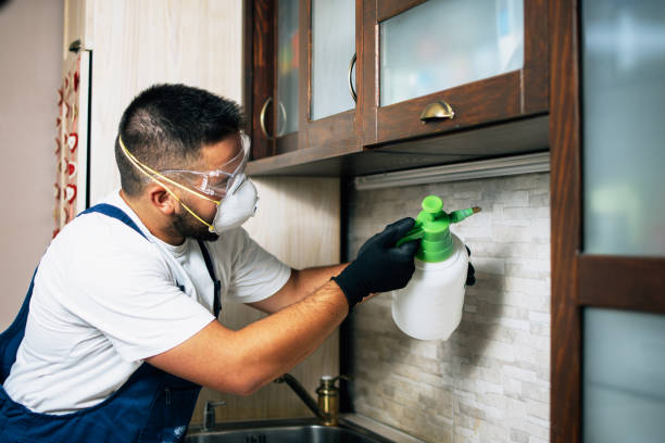 Best Pest Inspection Near Me  in Pierre Part, LA