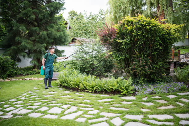 Best Affordable Pest Control Services  in Pierre Part, LA