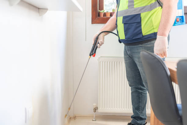 Best Wasp Removal Services  in Pierre Part, LA