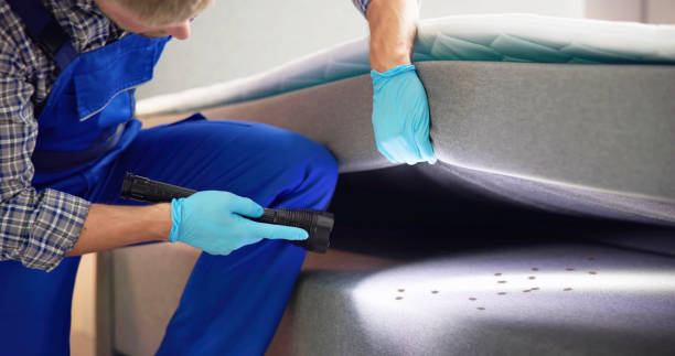 Best Affordable Pest Control Services  in Pierre Part, LA