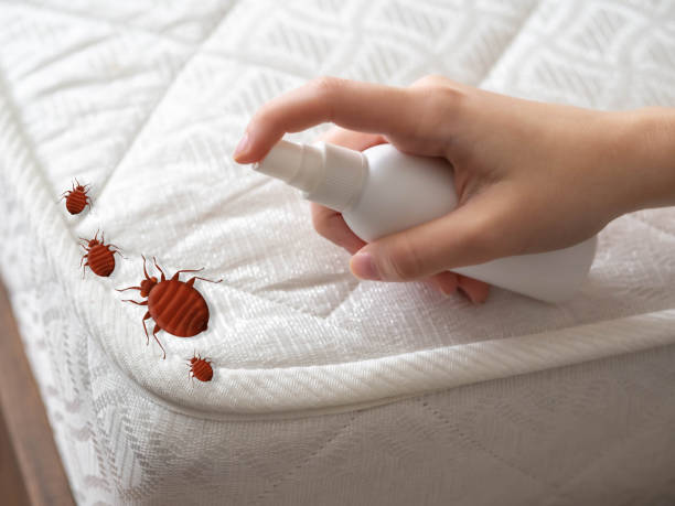 Trusted Pierre Part, LA Pest Control Experts